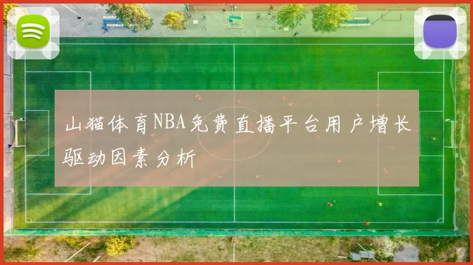 山猫体育NBA免费直播平台用户增长驱动因素分析
