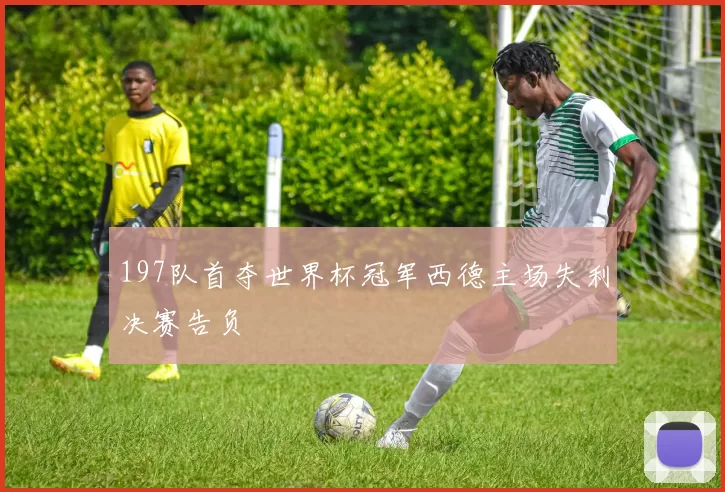 197队首夺世界杯冠军西德主场失利决赛告负