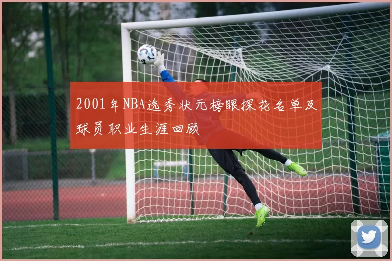 2001年NBA选秀状元榜眼探花名单及球员职业生涯回顾