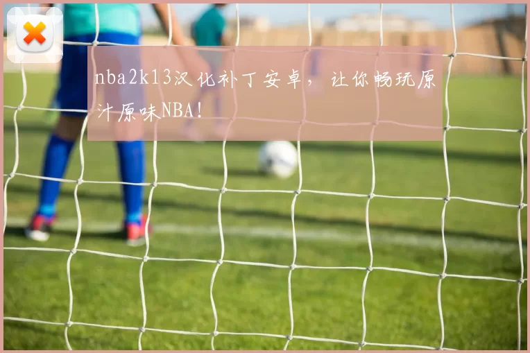 nba2k13汉化补丁安卓，让你畅玩原汁原味NBA！