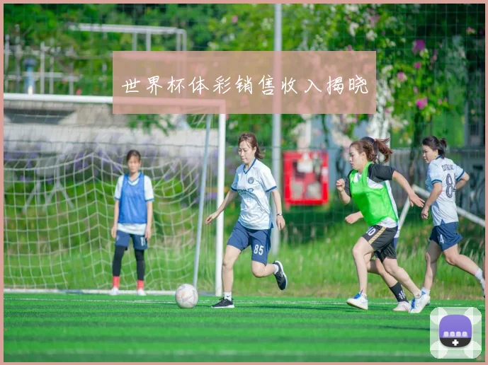 世界杯体彩销售收入揭晓
