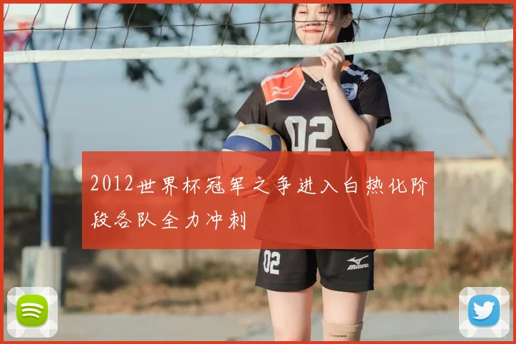 2012世界杯冠军之争进入白热化阶段各队全力冲刺