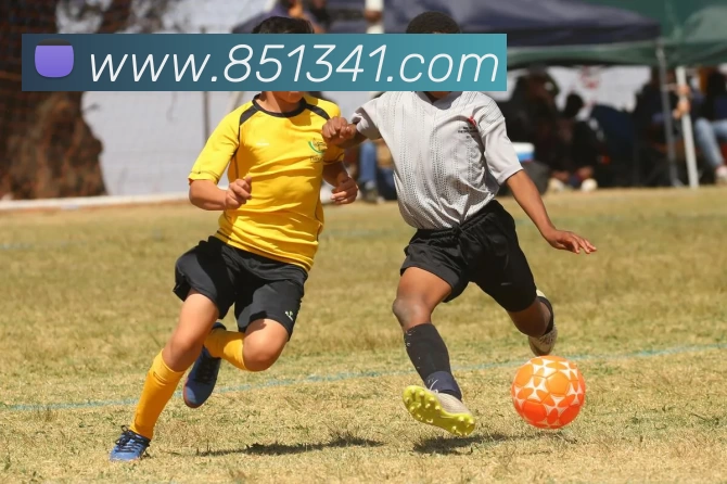 九游官网注册账号入口平台生态图